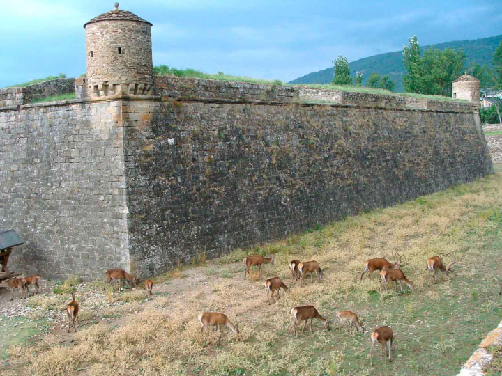 Viajar en autocaravana a Jaca